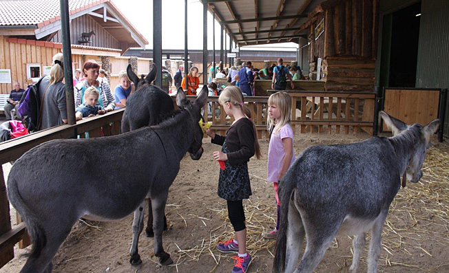 Motiv: Eselspielhof - Aktiv - Ausflugsziele